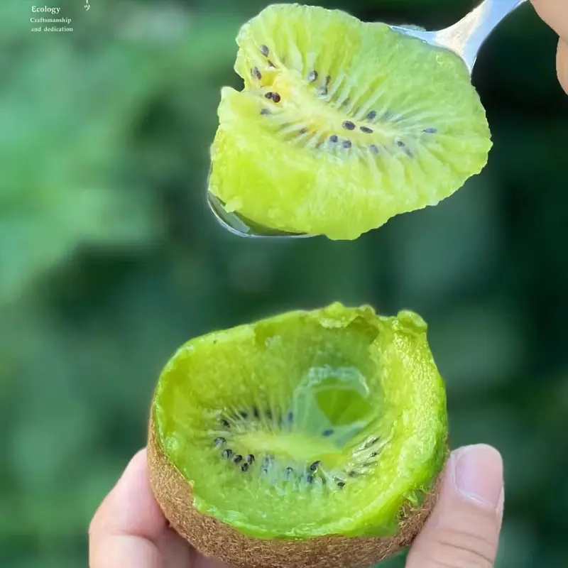 高山之獼即食獼猴桃